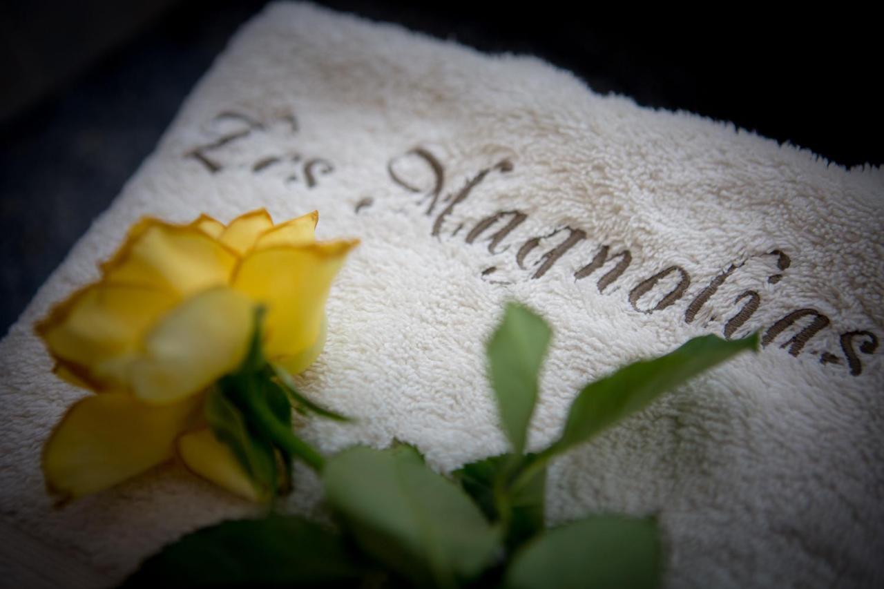 Les Magnolias Holiday Homes Lalinde Exteriér fotografie